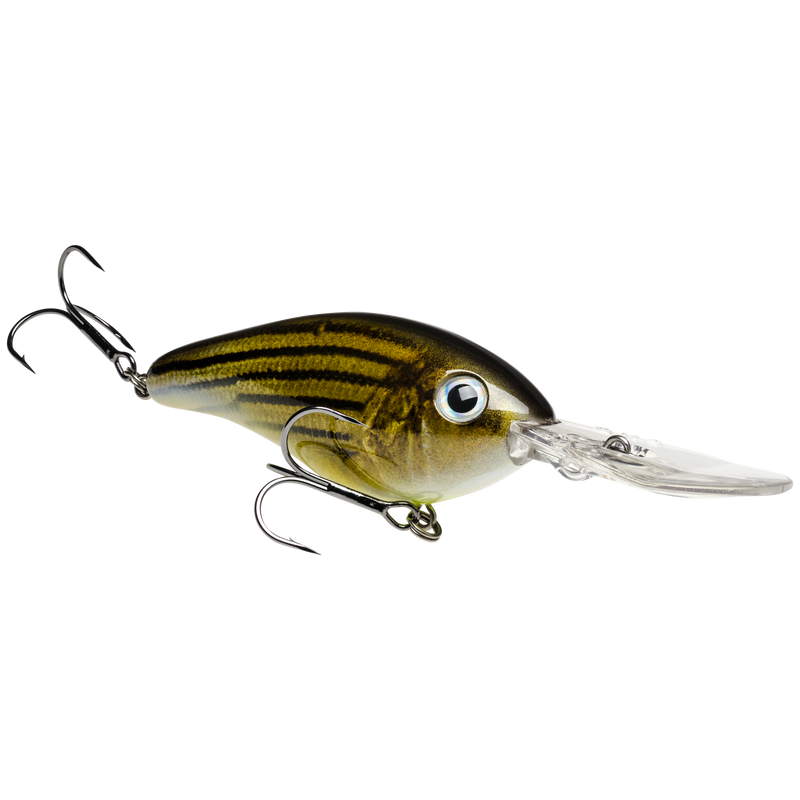 6xd barfish