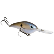 6xd blue gizzard