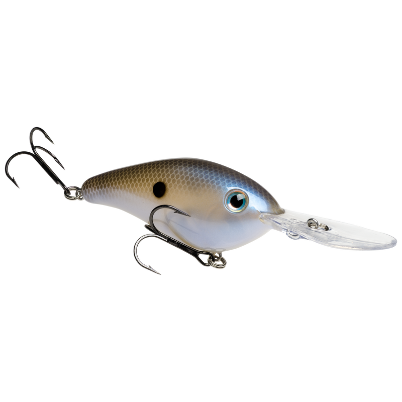 6xd blue gizzard