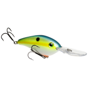 6xd chart sexy shad