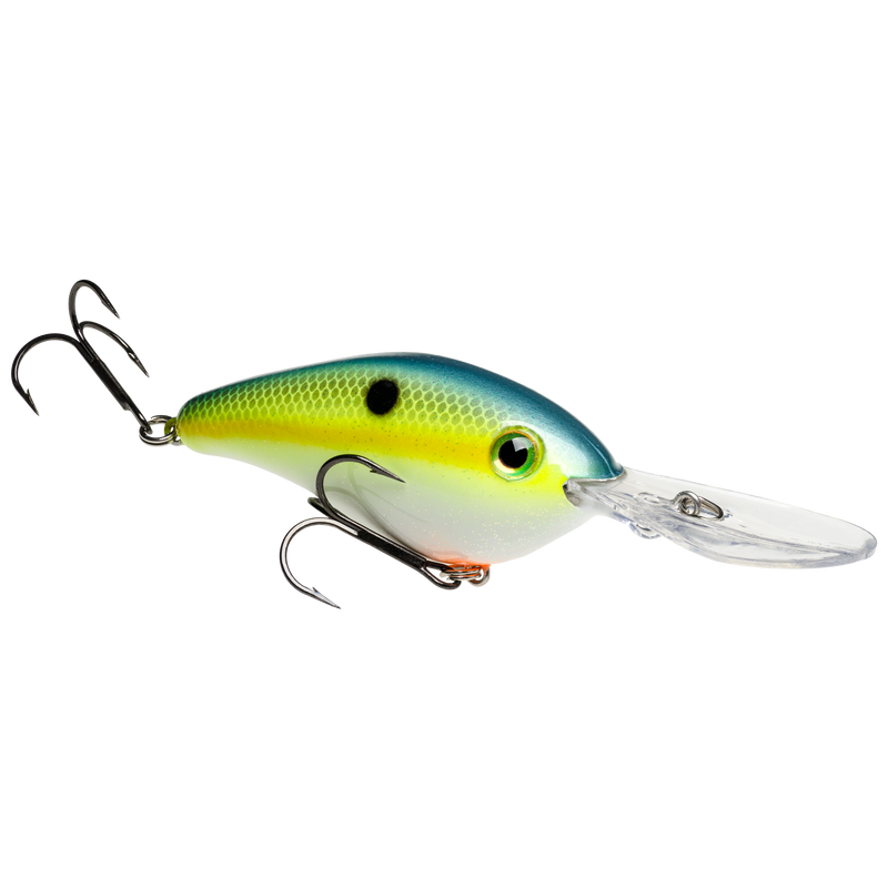 6xd chart sexy shad
