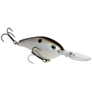 6xd gizzard shad