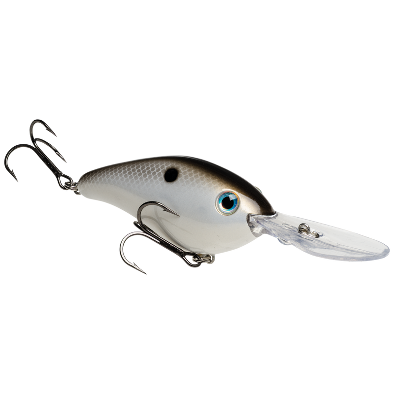 6xd gizzard shad