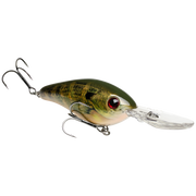 6xd natural bream