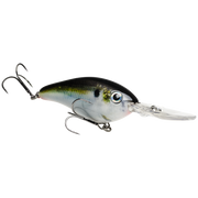 6xd natural shad