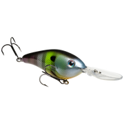 6xd neon bluegill