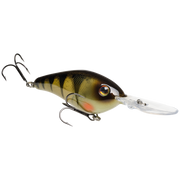 6xd yellow perch