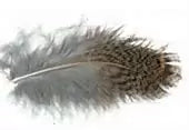 Wapsi Loose Hungarian Partridge Natural Brown