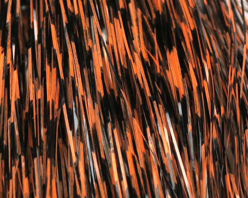 Hedron Grizzly Barred Flashabou