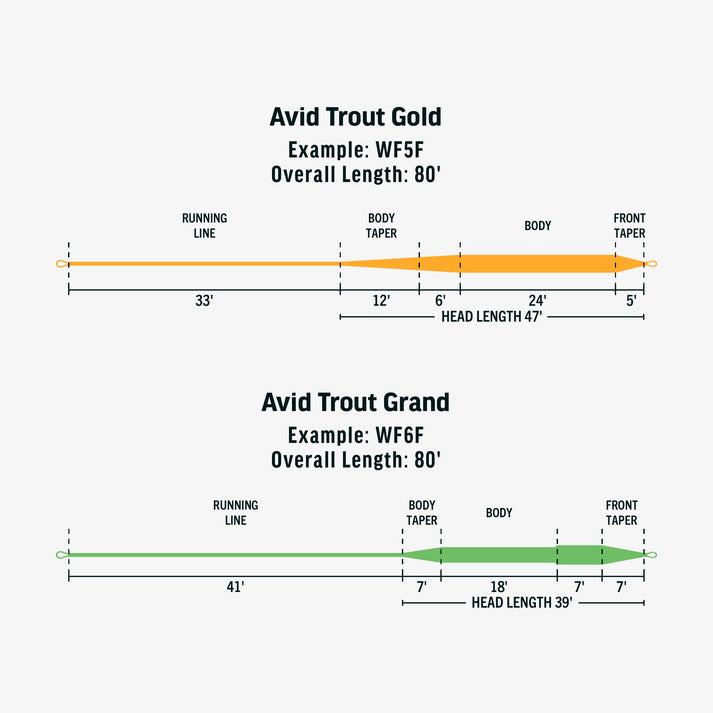 Rio Avid Gold Floating Fly Line