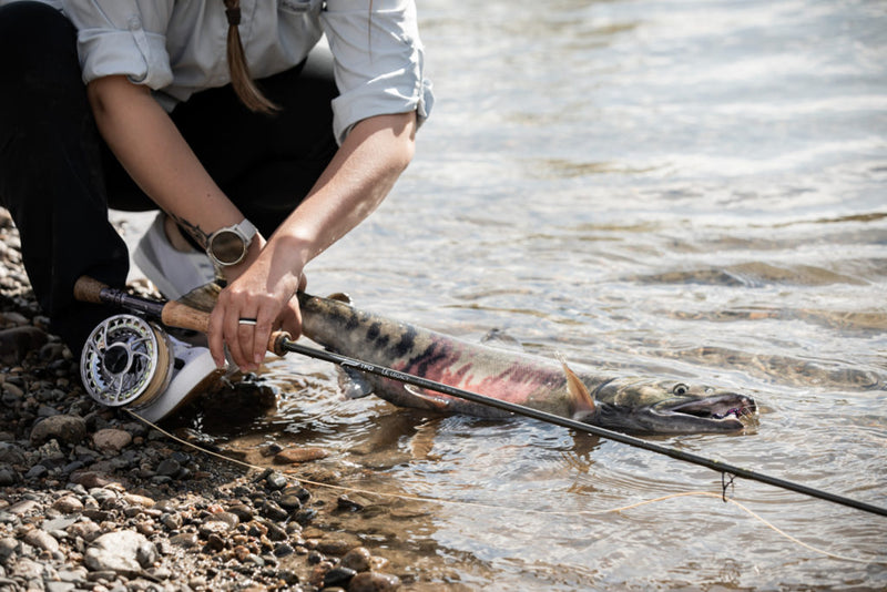TFO LK Legacy Fly Rod