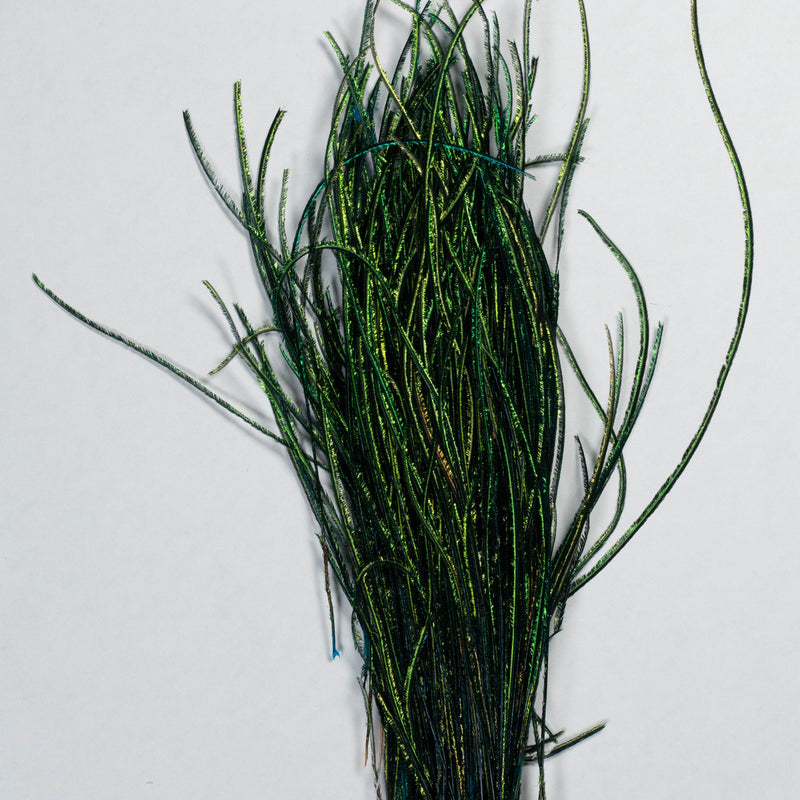 Wapsi Strung Peacock Herl