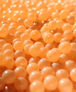 Great Lakes Steelhead Company Trick em' Beads - DC
