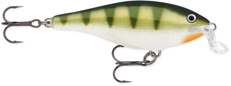 a8c9069d06f314_l5rl2i147l6gffn1gd07i4sd6d_bc830f7a