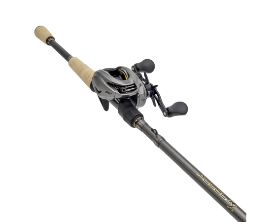 Lews Accel RX Baitcasting Combo