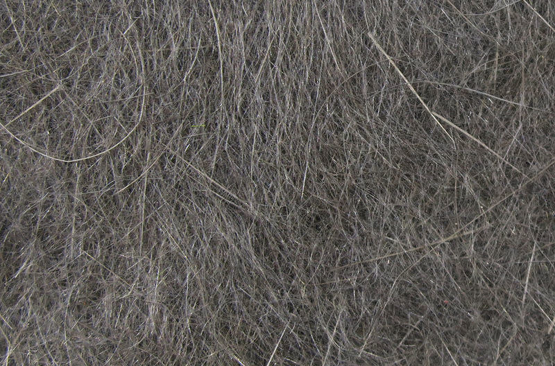 adams grey