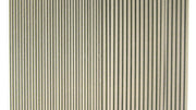adams grey