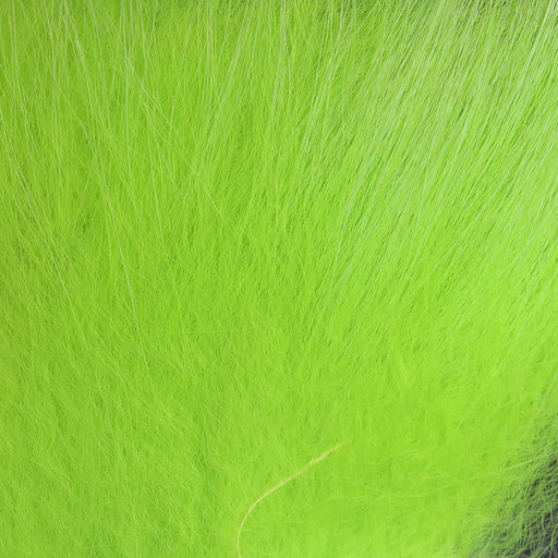 arctic fox chartreuse