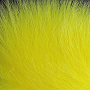 arctic fox yellow