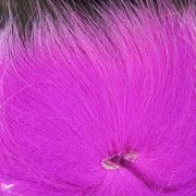 arctic tail pink