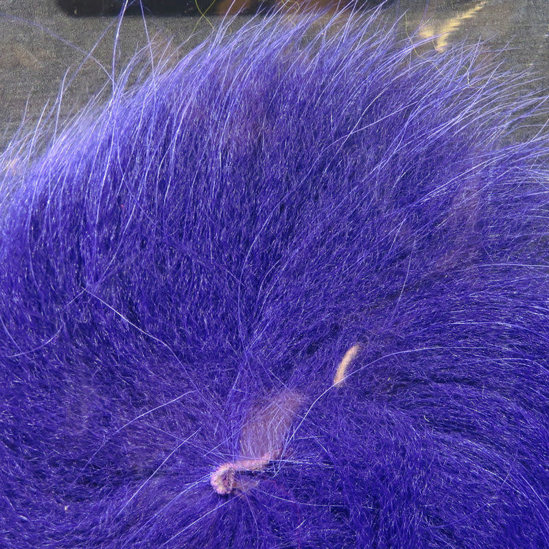 arctic tail purple