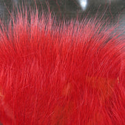 arctic tail red