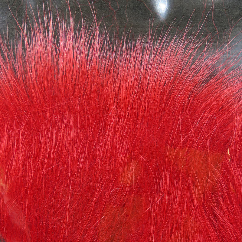 arctic tail red
