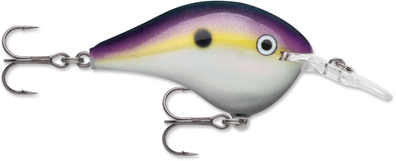 Rapala DT Series Crankbait