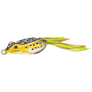 baby sexy frog spring frog