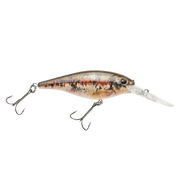 Berkley_Flicker_Shad_HDBlacknoseDace_7M_2020_alt2