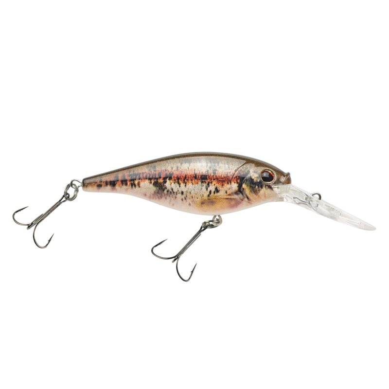 Berkley_Flicker_Shad_HDBlacknoseDace_7M_2020_alt2