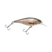 Berkley_Flicker_Shad_HDFatheadMinnow_7S_2020_alt2