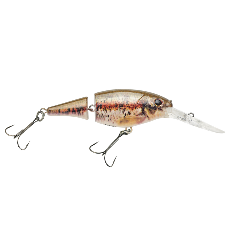 Berkley_Flicker_Shad_Jointed_HDBlacknoseDace_7_2020_alt2
