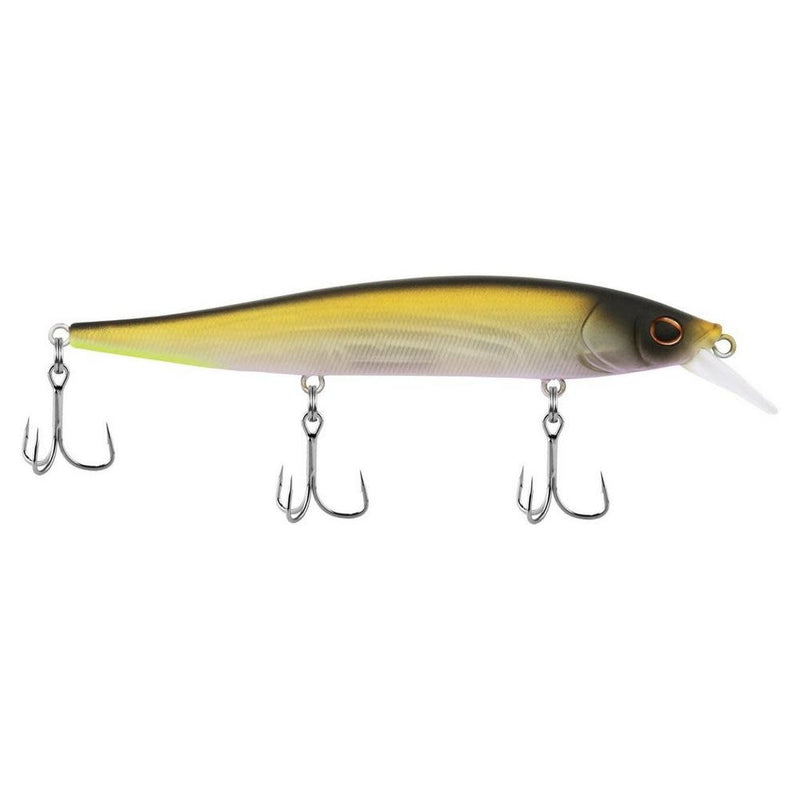 Berkley_Stunna_MFTennesseeShad_112_alt2
