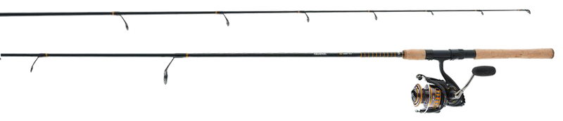 Daiwa BG Spinning Combo