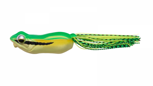 big_gabot_02_amagaeru