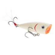 bitsy splash bone