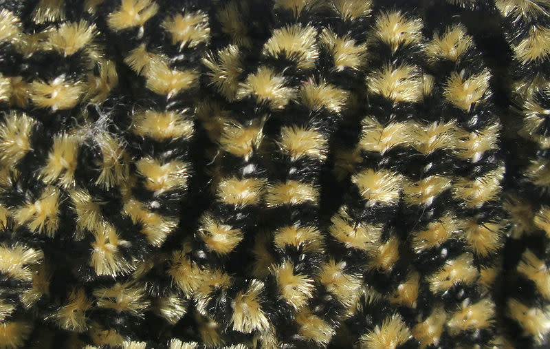 black beige