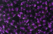 black fuchsia