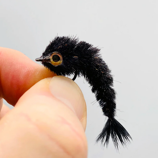 black-micro_1024x1024