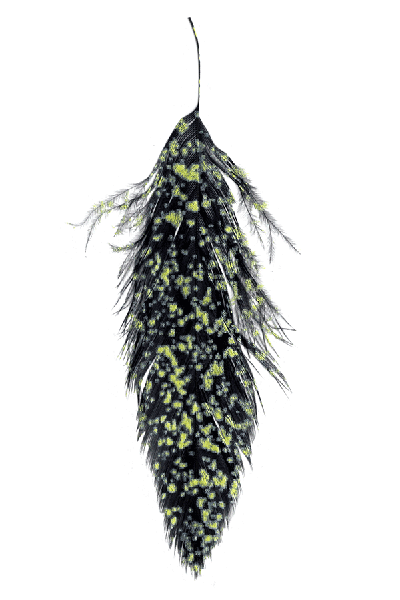 black-mottled-yellow