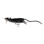 black rat
