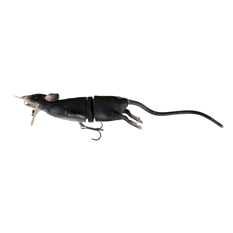 black rat