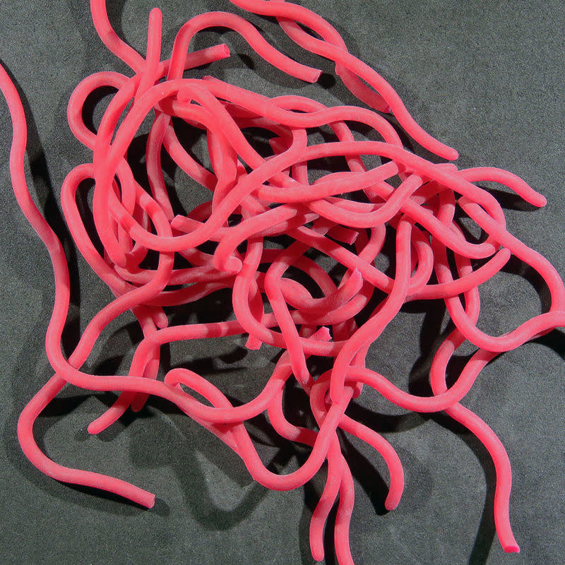 blood worm'