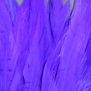 bright purp