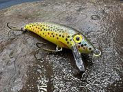 browntrout