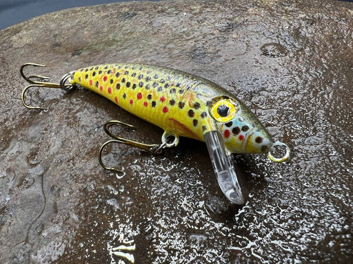 browntrout