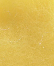 Brusier_-_Canary