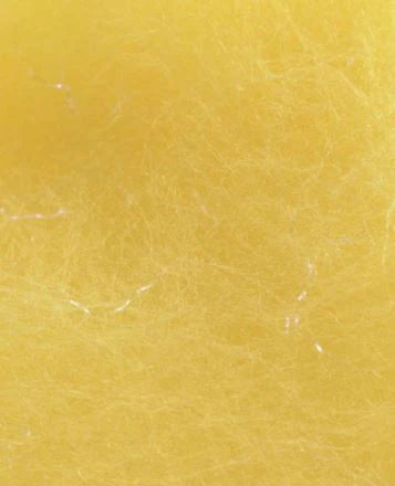 Brusier_-_Canary