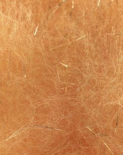 Brusier_-_Sunburst